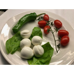 Bocconcini di Bufala 500 Gr