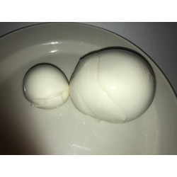 Mozzarella di Bufala 500 Gr