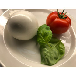 Mozzarella di Bufala 250 Gr